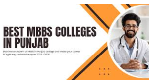 Low Budget MBBS in Punjab